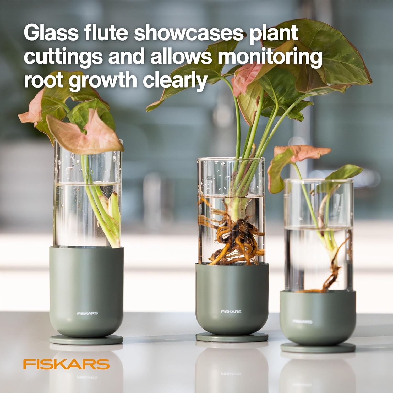 Fiskars Plant Propagator, Single Glass Vase with Metal Stand for Rooting Cuttings, Hydroponic System for Indoor Gardening Decor, Straight Sided Flute for Safe Root Removal, 5 oz, Clear(3-Pack  5 oz Vases)