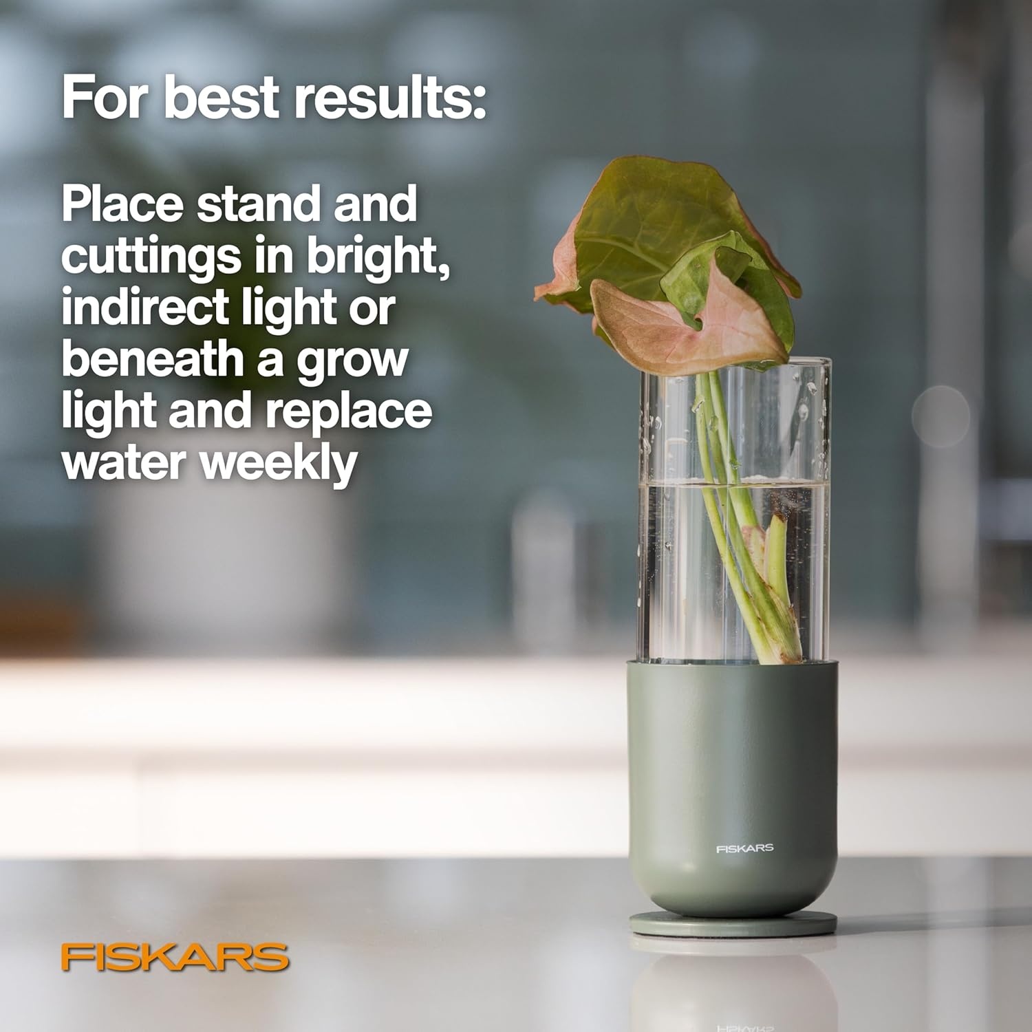 Fiskars Plant Propagator, Single Glass Vase with Metal Stand for Rooting Cuttings, Hydroponic System for Indoor Gardening Decor, Straight Sided Flute for Safe Root Removal, 5 oz, Clear(3-Pack  5 oz Vases)