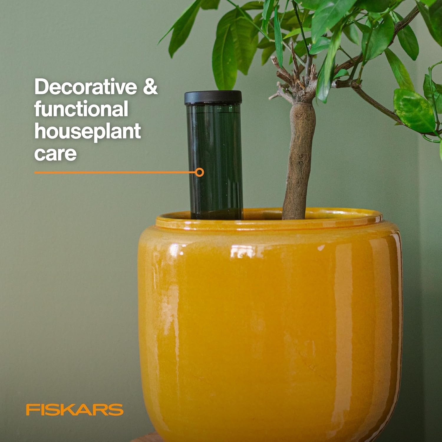 Fiskars Glass Watering Can for Indoor Plants, Small Pitcher for Succulents & Herbs, Easy Fill Top Design and Mess Free Pouring with Narrow Spout for House Plants, Modern Decor Style, 17 oz, Clear(Watering Spike)