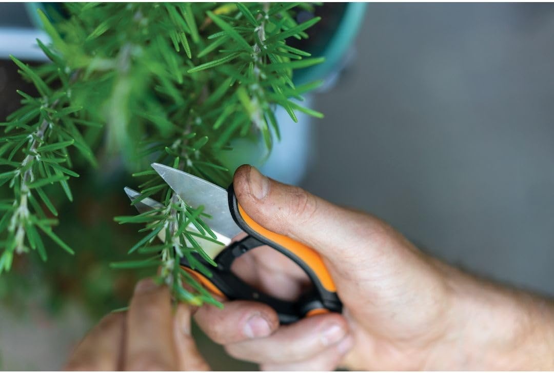 Fiskars Herb Garden Scissors, 5″ Garden Shears, Handheld Herb Snips with Sheath and SoftGrip Handle, Dishwasher Safe