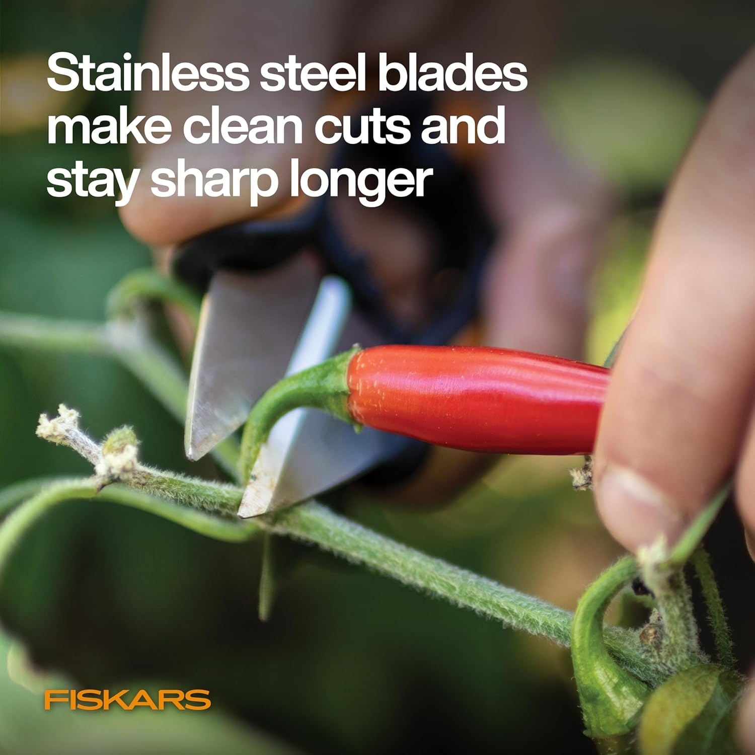Fiskars Herb Garden Scissors, 5″ Garden Shears, Handheld Herb Snips with Sheath and SoftGrip Handle, Dishwasher Safe