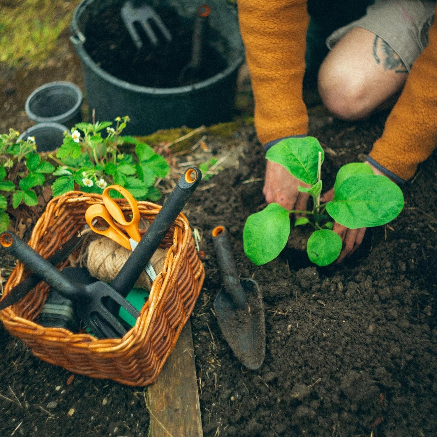 Fiskars Eco Cultivator Hoe with Dual-Function Design, Tapered Blade, Cultivator Tines, Ergonomic Handle, and UV-Resistant Build for Soil Care(Eco Cultivator Hoe)