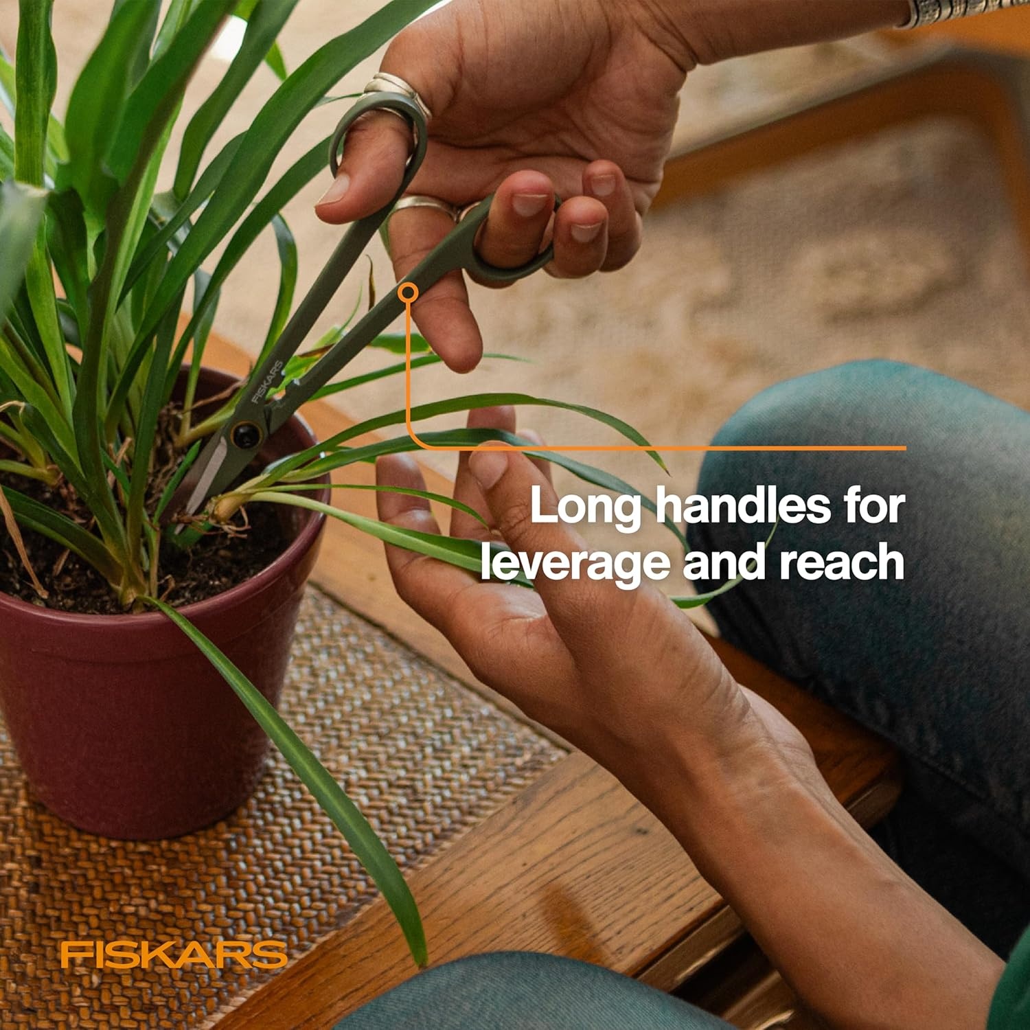 Fiskars Plant Shaping Shears & Holder, Precision Indoor Gardening Snips with Storage Caddy, Forged Stainless Steel Blades for Clean Cuts on Broad Leaves, Ambidextrous Handles & Stem Stripper, 6″(Detail Snipper)