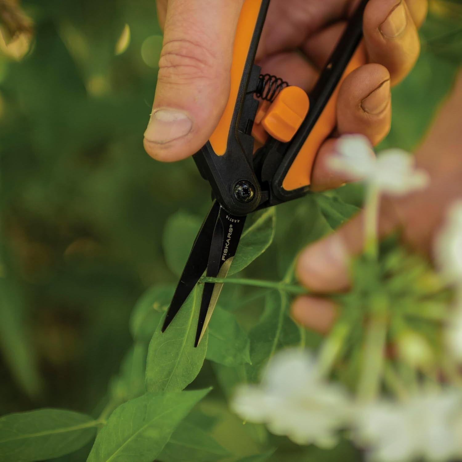 Fiskars 6″ Pruning Scissors for Flowers, Buds, Weeds and Small Plants, Garden Snips with Resin Resistant Nonstick Stainless Steel Blades, Gardening Trimmers with Comfortable Handle(Pruning Snips (Non Stick 2 Pack))