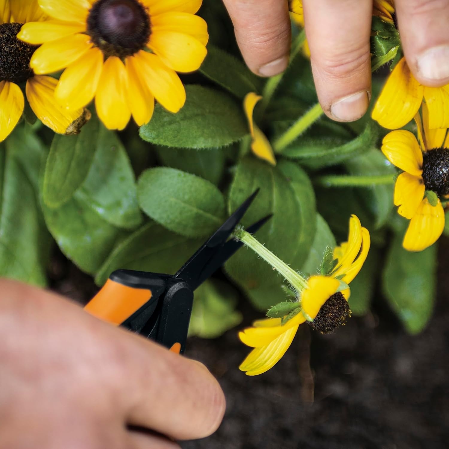 Fiskars 6″ Pruning Scissors for Flowers, Buds, Weeds and Small Plants, Garden Snips with Resin Resistant Nonstick Stainless Steel Blades, Gardening Trimmers with Comfortable Handle(Pruning Snips (Non-Stick))
