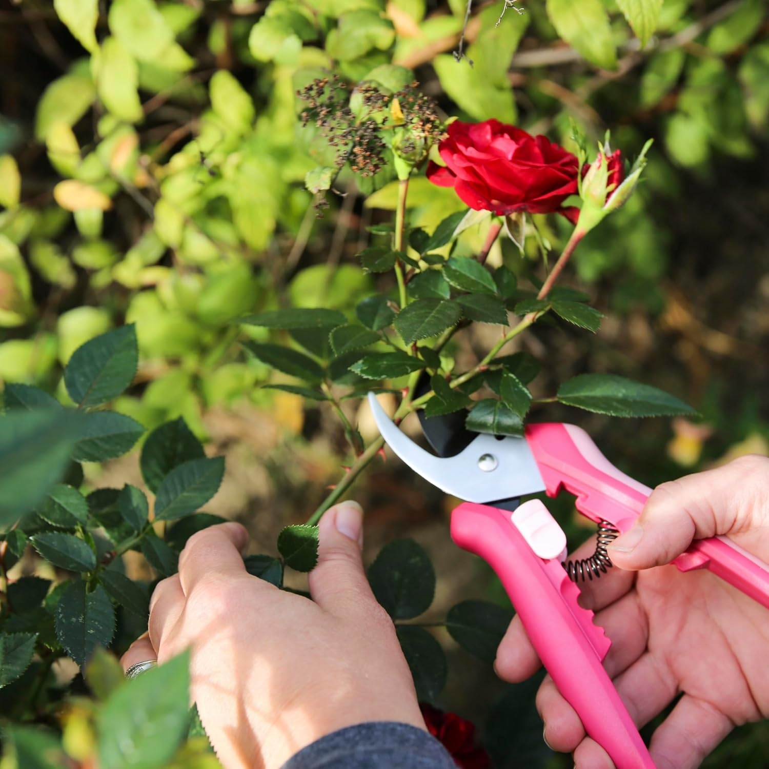 Fiskars Floral Pruning Shears, Gardening Gifts for Women, Plant Cutting Scissors for Deadheading, Rose Petal Pink(Rose Petal Pink)