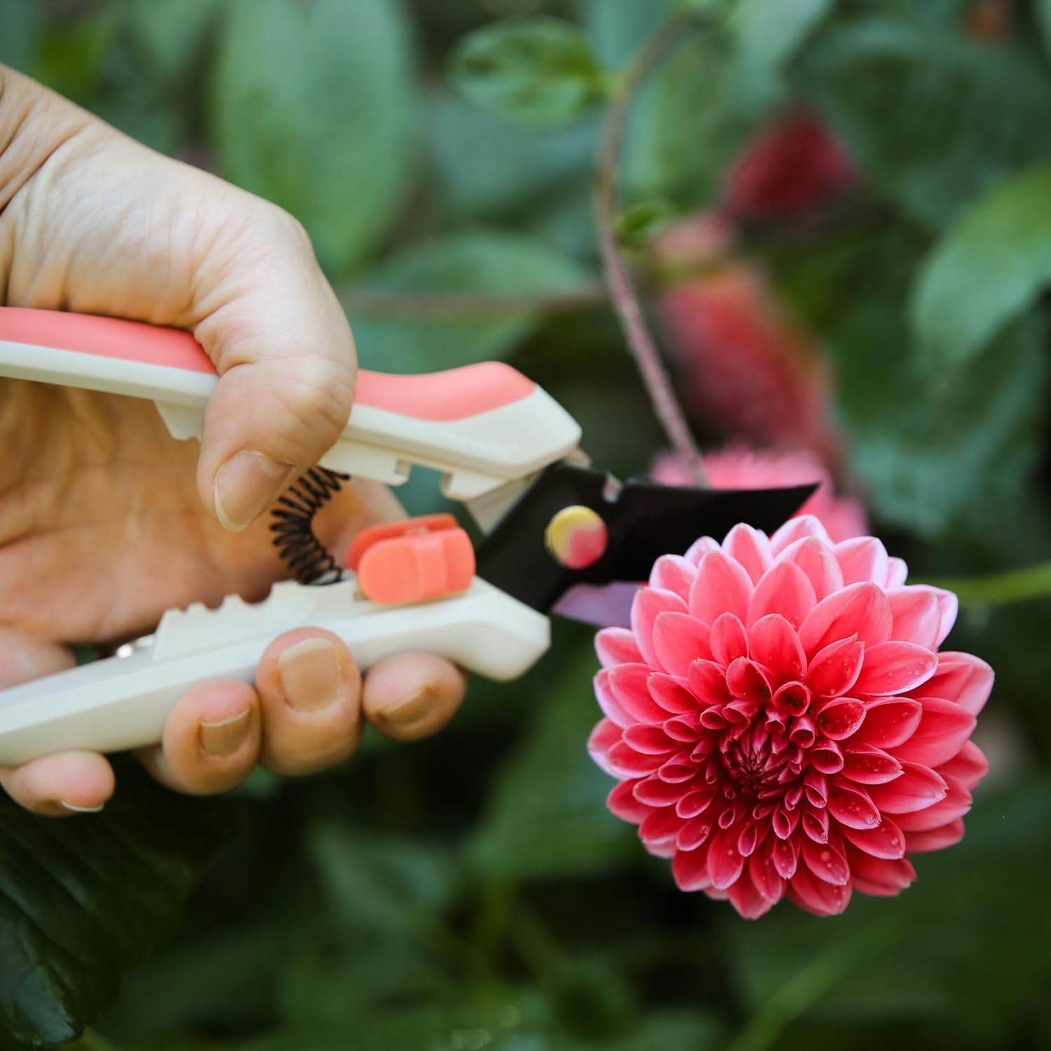 Fiskars Floral Pruning Shears, Gardening Gifts for Women, Plant Cutting Scissors for Deadheading, Rose Petal Pink(Spring Bloom Light Pink)