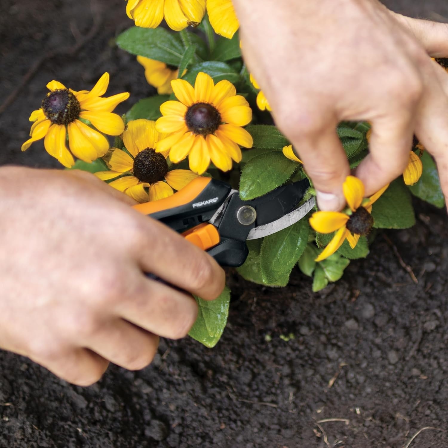 Fiskars 6″ Pruning Scissors for Flowers, Buds, Weeds and Small Plants, Garden Snips with Resin Resistant Nonstick Stainless Steel Blades, Gardening Trimmers with Comfortable Handle(Floral Pruner)