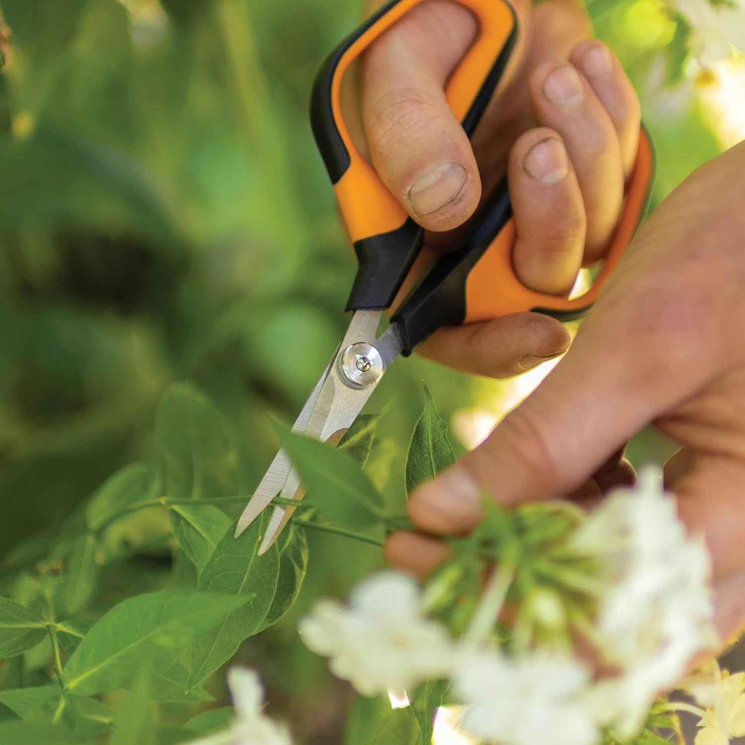 Fiskars 6″ Pruning Scissors for Flowers, Buds, Weeds and Small Plants, Garden Snips with Resin Resistant Nonstick Stainless Steel Blades, Gardening Trimmers with Comfortable Handle(Pruning Shears (Comfort Loop Handles))