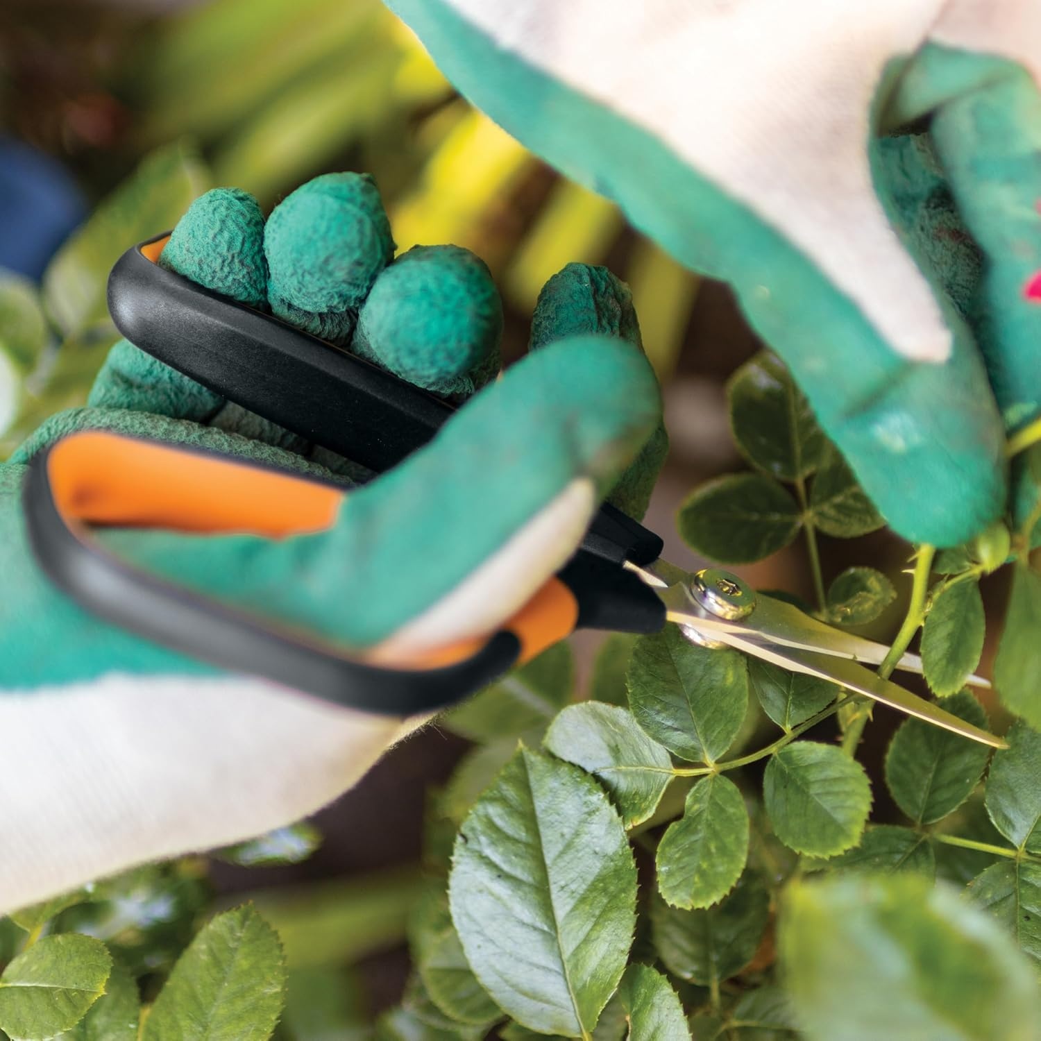 Fiskars 6″ Pruning Scissors for Flowers, Buds, Weeds and Small Plants, Garden Snips with Resin Resistant Nonstick Stainless Steel Blades, Gardening Trimmers with Comfortable Handle(Pruning Shears (Comfort Loop Handles))