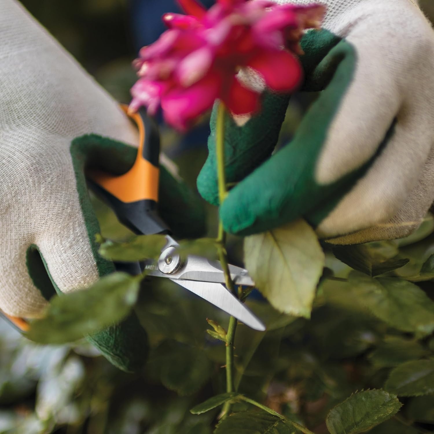 Fiskars 6″ Pruning Scissors for Flowers, Buds, Weeds and Small Plants, Garden Snips with Resin Resistant Nonstick Stainless Steel Blades, Gardening Trimmers with Comfortable Handle(Pruning Shears (Comfort Loop Handles))