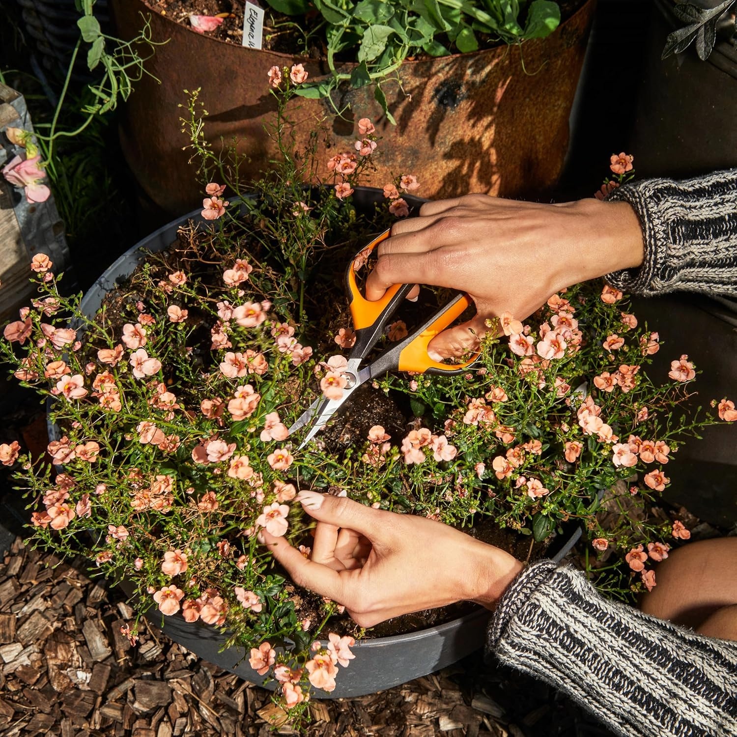 Fiskars 6″ Pruning Scissors for Flowers, Buds, Weeds and Small Plants, Garden Snips with Resin Resistant Nonstick Stainless Steel Blades, Gardening Trimmers with Comfortable Handle(Pruning Shears (Comfort Loop Handles))