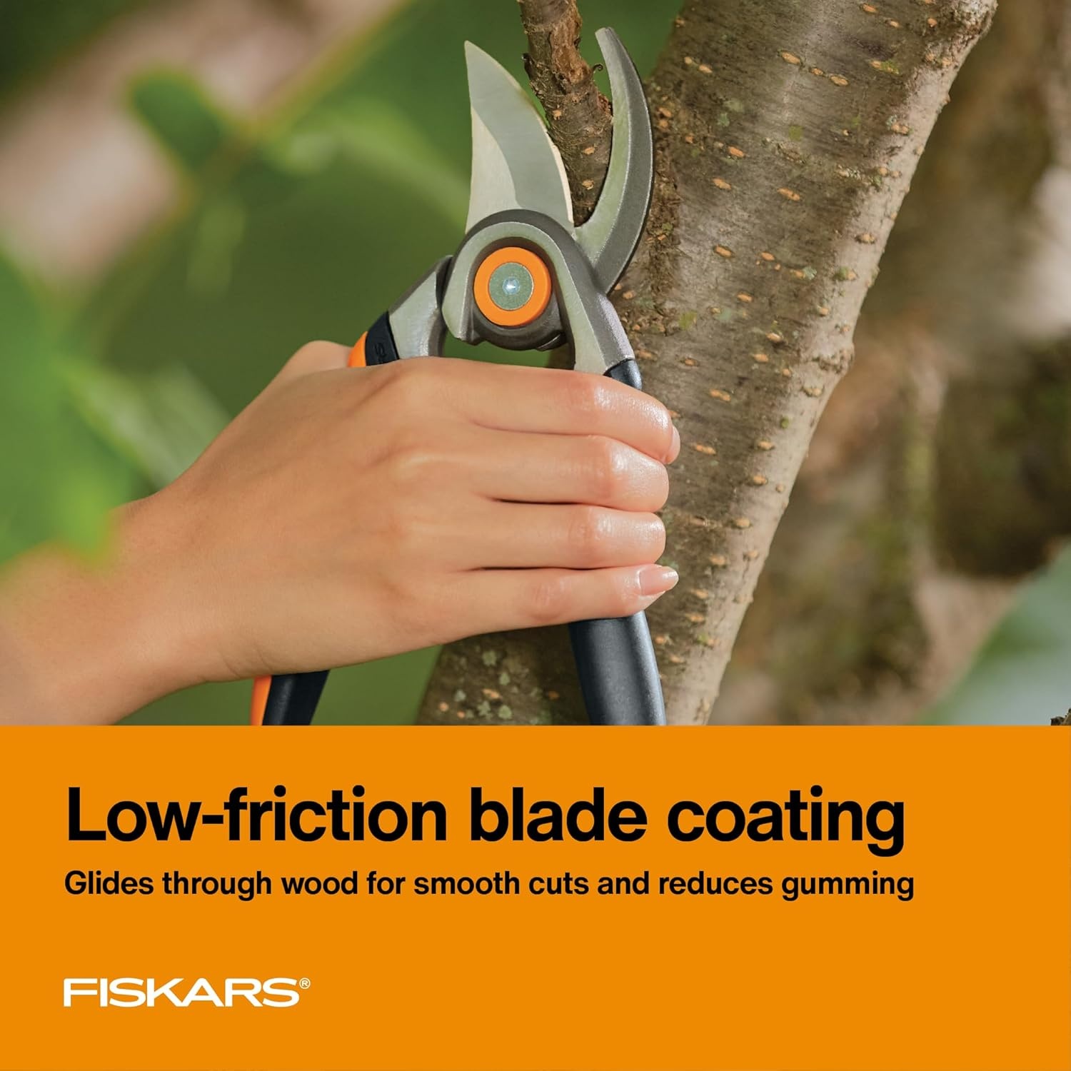 Fiskars 2-Piece Pruning & Veggie Shears Set, Explore Collection Garden Tool Kit, Bypass Pruner for Light Trimming, Vegetable Shears with Serrated Stainless Steel Blades for Harvesting Flowers & Herbs(Forged Pruner)