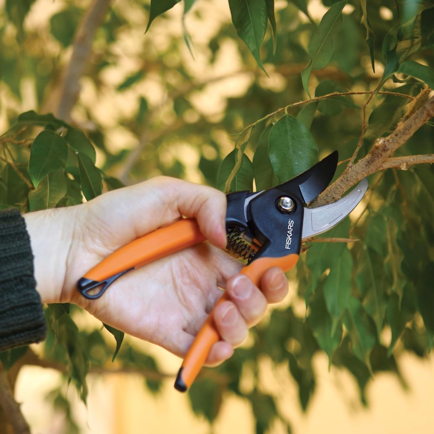 Fiskars 2-Piece Pruning & Veggie Shears Set, Explore Collection Garden Tool Kit, Bypass Pruner for Light Trimming, Vegetable Shears with Serrated Stainless Steel Blades for Harvesting Flowers & Herbs(Soft Grip Pruner)