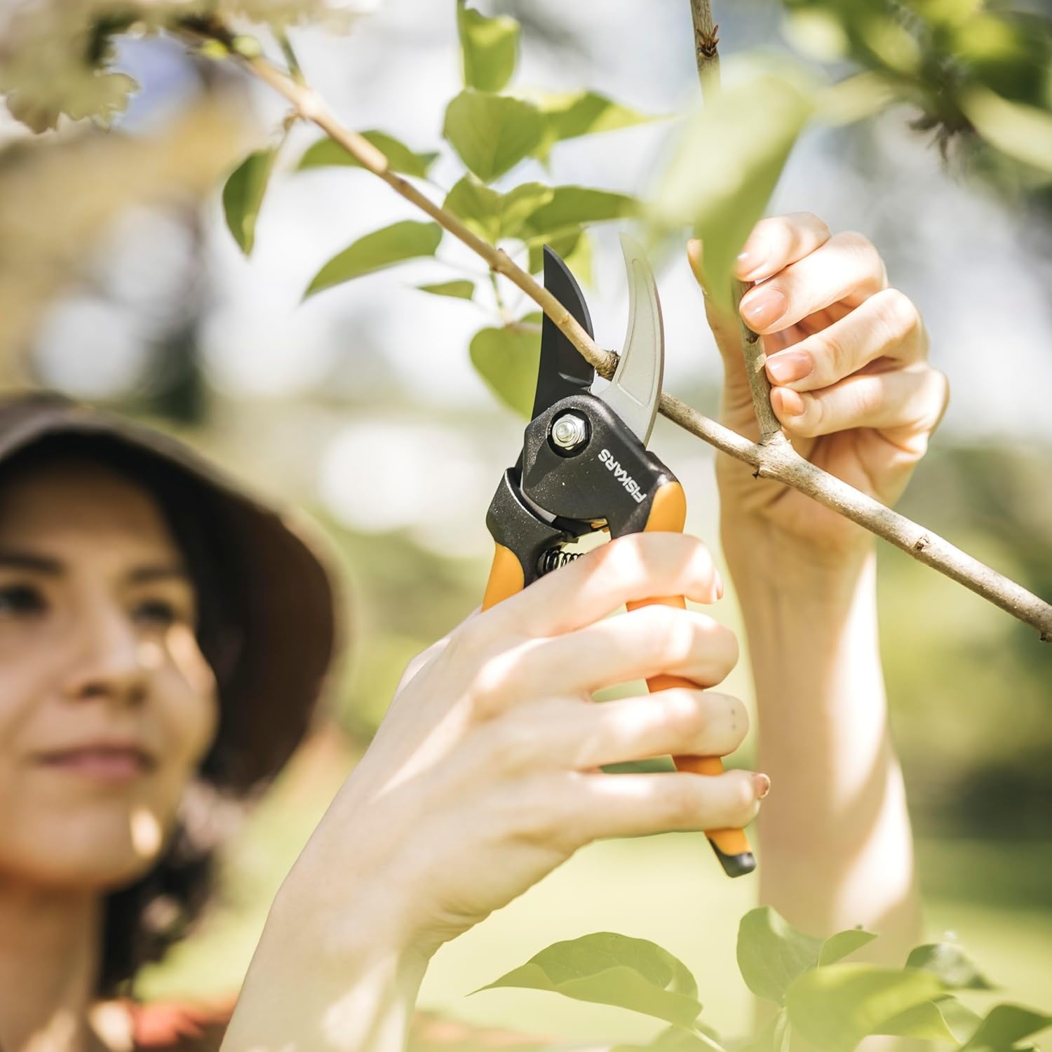 Fiskars 2-Piece Pruning & Veggie Shears Set, Explore Collection Garden Tool Kit, Bypass Pruner for Light Trimming, Vegetable Shears with Serrated Stainless Steel Blades for Harvesting Flowers & Herbs(Soft Grip Pruner)
