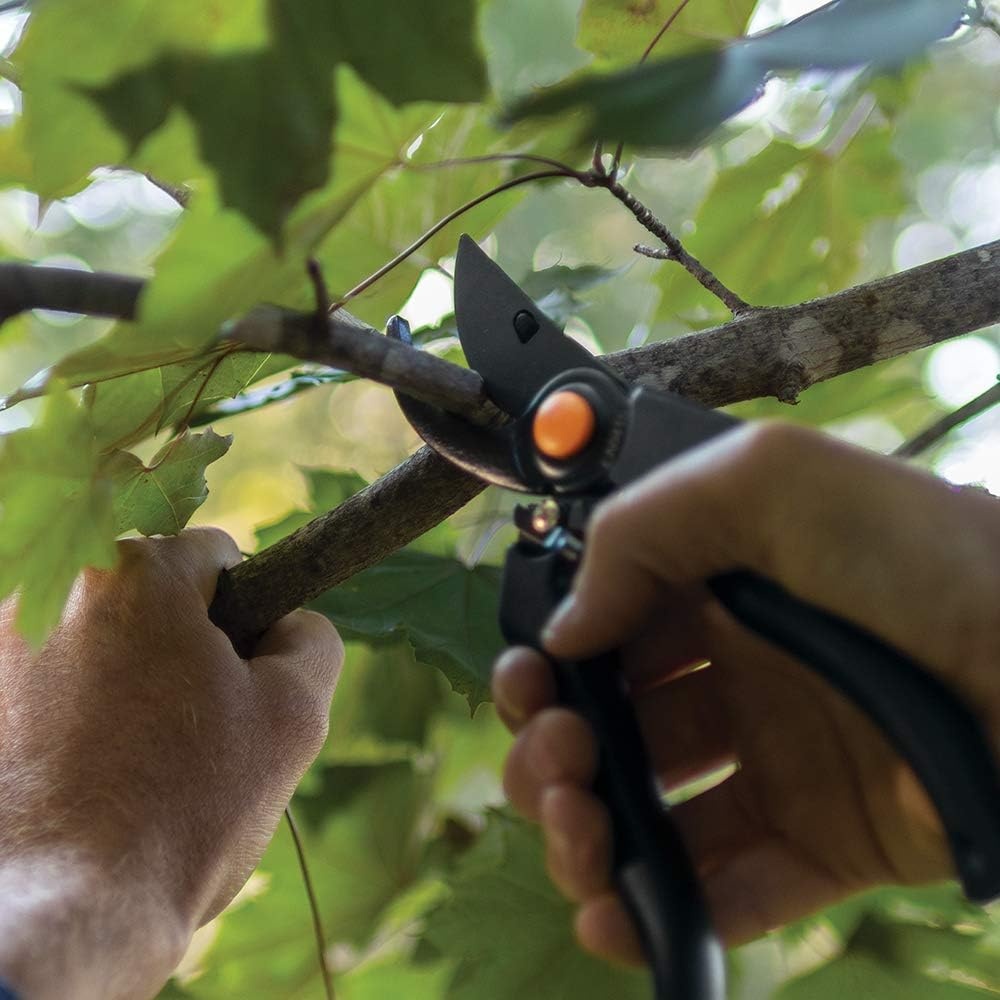 Fiskars Professional Bypass Pruning Shears(Professional Bypass)