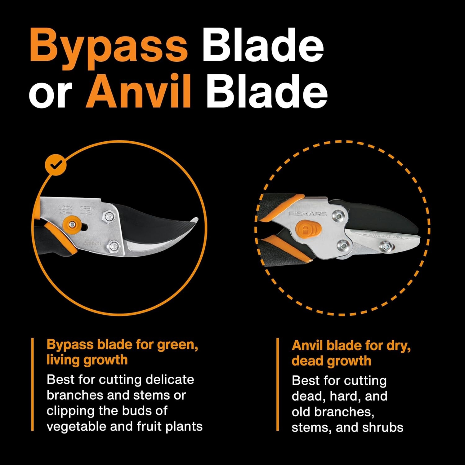 Fiskars 2-Piece Pruning & Veggie Shears Set, Explore Collection Garden Tool Kit, Bypass Pruner for Light Trimming, Vegetable Shears with Serrated Stainless Steel Blades for Harvesting Flowers & Herbs(Bypass Pruner)