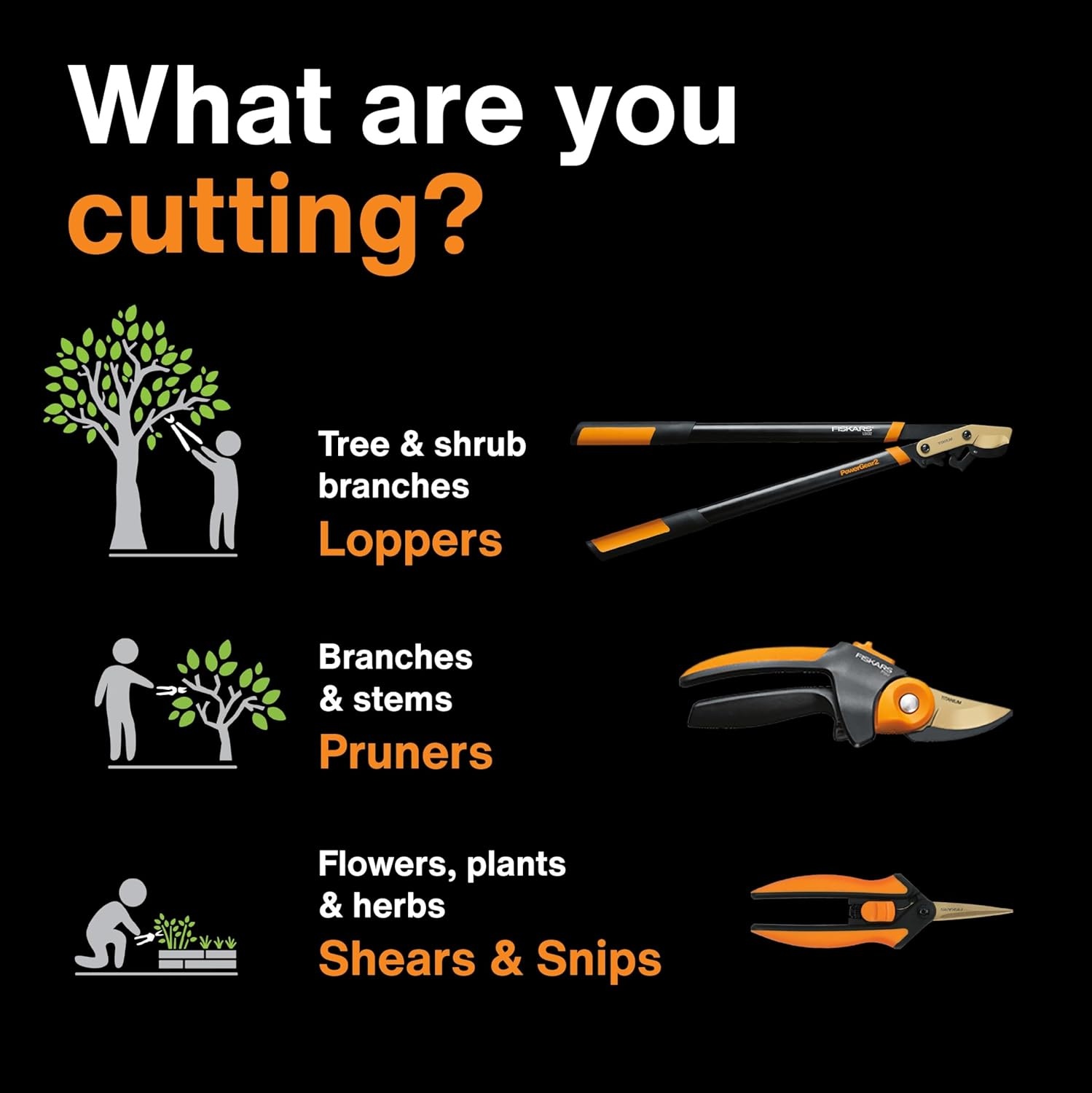 Fiskars 2-Piece Pruning & Veggie Shears Set, Explore Collection Garden Tool Kit, Bypass Pruner for Light Trimming, Vegetable Shears with Serrated Stainless Steel Blades for Harvesting Flowers & Herbs(Bypass Pruner)
