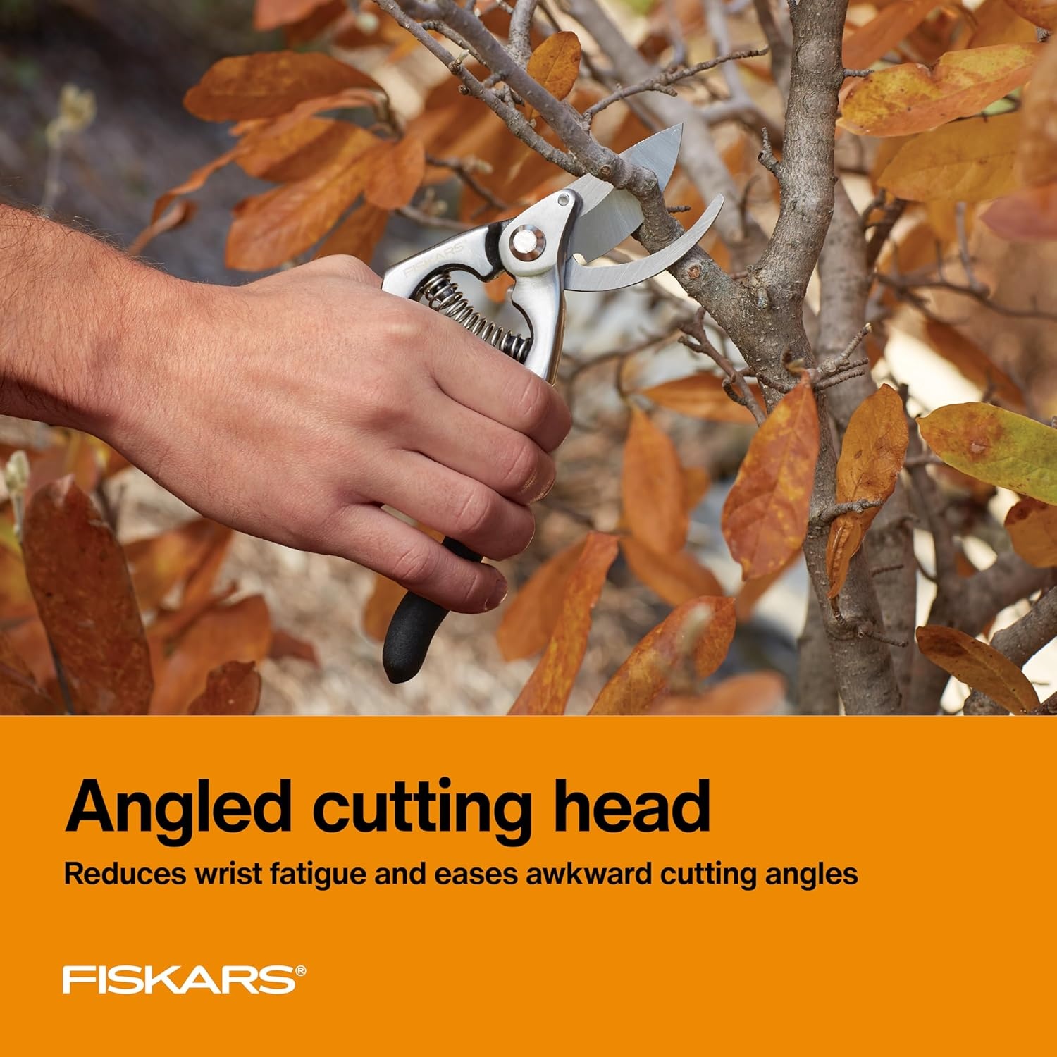 Fiskars 2-Piece Pruning & Veggie Shears Set, Explore Collection Garden Tool Kit, Bypass Pruner for Light Trimming, Vegetable Shears with Serrated Stainless Steel Blades for Harvesting Flowers & Herbs(Deluxe Pruner)