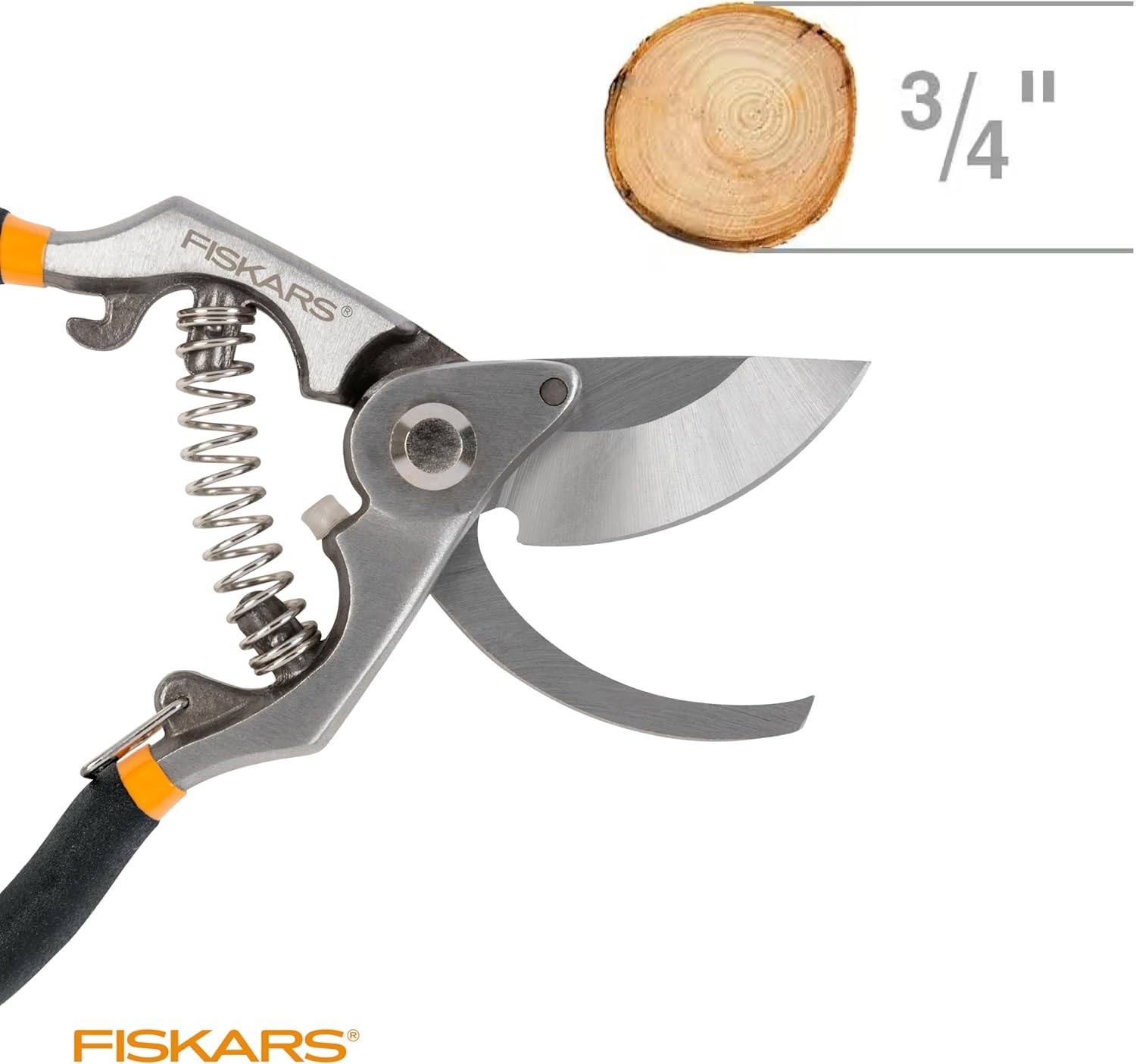 Fiskars 2-Piece Pruning & Veggie Shears Set, Explore Collection Garden Tool Kit, Bypass Pruner for Light Trimming, Vegetable Shears with Serrated Stainless Steel Blades for Harvesting Flowers & Herbs(Deluxe Pruner)