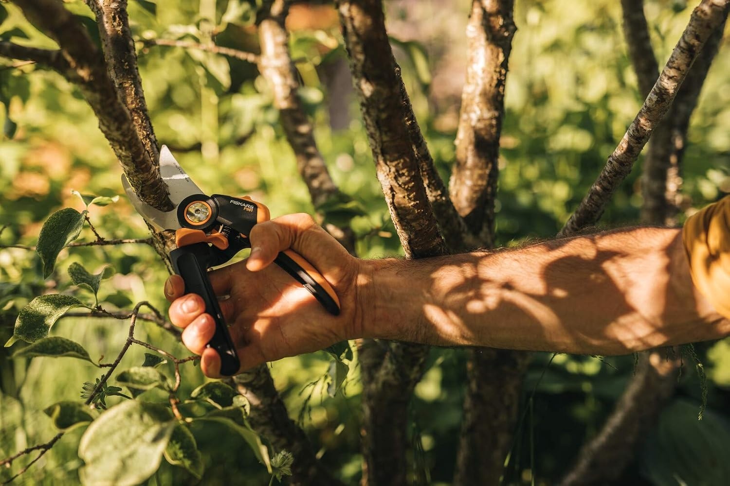 Fiskars Bypass Garden Pruners L, X-Series PowerGear, P961, with Rolling Handle, for Fresh Branches and Twigs, Non-Stick Coated, Stainless Steel Blades, Length: 22.2 cm, Black/Orange, 1057175(X-series P961)